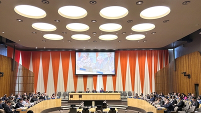 Việt Nam trúng cử UN Women nhiệm kỳ 2025-2027