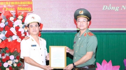 Đại tá Nguyễn Đức Hải làm Giám đốc Công an Đồng Nai