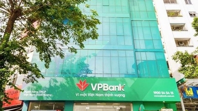 VPBank zahlt im November 10 % Bardividende