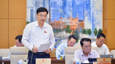 Economic Committee: GDP this year will only increase by over 5%