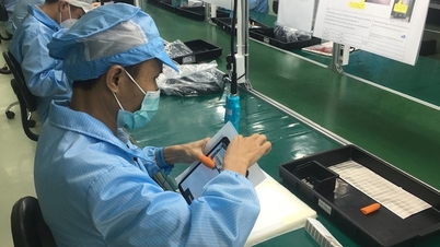 Ein Hightech-Projekt wird in Da Nang mehr als 2.000 Arbeitsplätze schaffen.