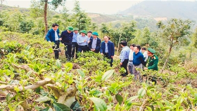 Đồng hành cùng người nghèo bằng những mô hình sinh kế