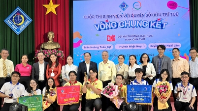 Trường đại học Nam Cần Thơ: Hướng đến đào tạo theo chuẩn quốc tế