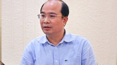 ការកសាងផែនការធានាការស្ដារទ្រព្យសម្បត្តិនៅក្នុងករណី Truong My Lan