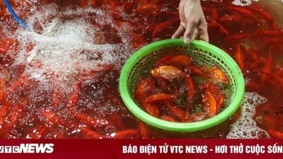 The largest fish market in Hanoi operates all night before Ong Cong and Ong Tao day.