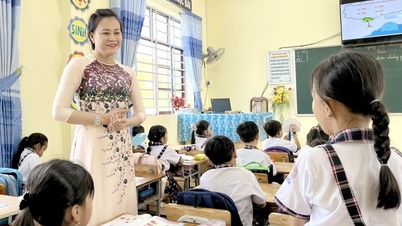 Cô giáo tới tận nhà chở trò nghèo đi học, dạy toán bằng trò chơi 'cứu cá voi'