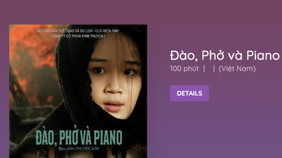 Box Office Vietnam может быть привлечен к ответственности за нарушение авторских прав