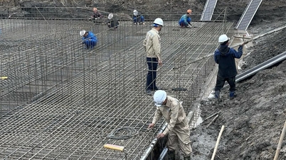 Kiến nghị tạm tác động vào rừng để thi công đường dây 500 kV