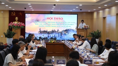 ដើម្បីអភិវឌ្ឍ Sa Pa ទៅជាទីក្រុងទេសចរណ៍ស្អាតអាស៊ាន