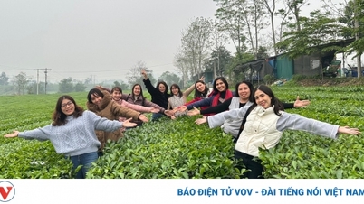 បញ្ហាប្រឈមជាច្រើនក្នុងការផ្លាស់ប្តូរទេសចរណ៍បៃតងនៅវៀតណាម