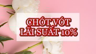 Các ngân hàng có lãi suất 10%