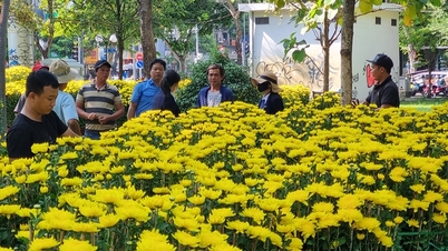 ផ្លូវភ្លឺសម្រាប់តេត