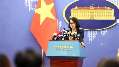 Kiên quyết phản đối cách hành xử thô bạo của lực lượng Trung Quốc với ngư dân Việt Nam