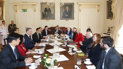 Triển khai thủ tục thành lập Đại sứ quán Việt Nam tại Ireland