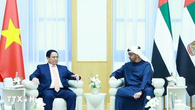 UAE ក្លាយជាដៃគូគ្រប់ជ្រុងជ្រោយដំបូងរបស់វៀតណាមនៅមជ្ឈិមបូព៌ា