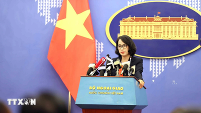 中国軍によるベトナム漁船に対する残虐な行為に断固反対する