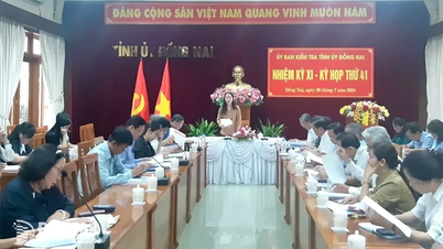 គណៈកម្មាធិការអធិការកិច្ចបក្សខេត្ត Dong Nai បានប្រកាសកិច្ចប្រជុំលើកទី៤០ និងទី៤១