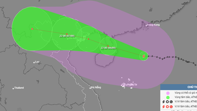 International forecast: How strong will super typhoon Yagi be when it makes landfall in Vietnam?