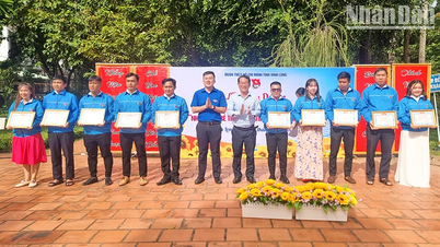 Vĩnh Long tuyên dương học sinh “3 tốt, 3 rèn luyện” và nhà giáo trẻ tiêu biểu