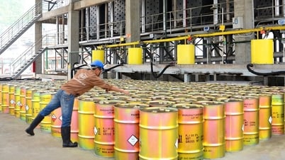 Kiểm toán đề nghị kiểm tra việc thoái vốn của Vinachem tại Hóa chất Đức Giang