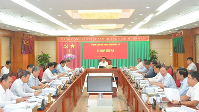 Đề nghị kỷ luật Ban Thường vụ Tỉnh ủy Tuyên Quang và Phú Thọ
