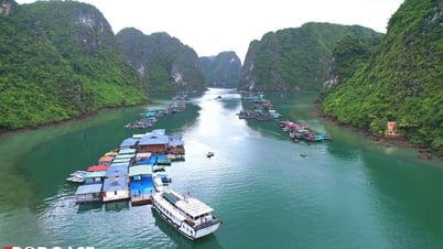 Quảng Ninh: 'Vịnh Hạ Long chưa bao giờ nằm trong danh sách Di sản lâm nguy'
