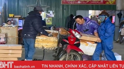 អាជីវកម្ម​គ្រឿង​សមុទ្រ​កំពុង​មមាញឹក​ប្រមូល​ទំនិញ​ដើម្បី​បម្រើ​តម្រូវ​ការ​របស់​តេត។