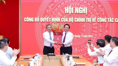 លេខាបក្សខេត្ត Thai Binh លោក Ngo Dong Hai តែងតាំងអនុប្រធាននាយកដ្ឋានឃោសនាមជ្ឈិម