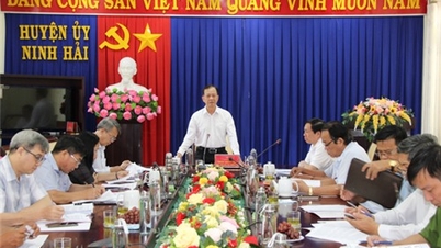 Đoàn giám sát 2034 Tỉnh ủy làm việc với Huyện ủy Ninh Hải
