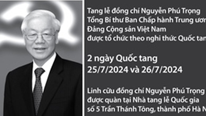 បង្កើត​លក្ខខណ្ឌ​អំណោយផល​សម្រាប់​ប្រជាជន​មក​ទស្សនា​អគ្គលេខាធិកា​រ Nguyen Phu Trong