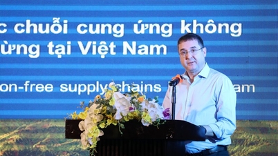 Nâng cao kiến thức chuỗi cung ứng không gây phá rừng, suy thoái rừng tại Việt Nam