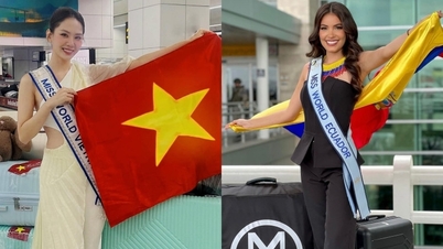 Hoa hậu Mai Phương cùng dàn mỹ nhân đến Ấn Độ thi Miss World