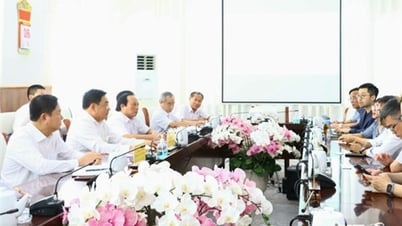 UBND tỉnh họp nghe báo cáo, giới thiệu nhà đầu tư thứ cấp vào Khu công nghiệp Du Long