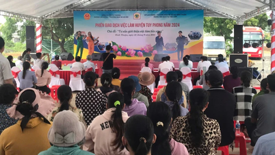 Job introduction in central coastal district