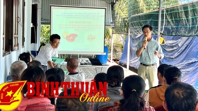 ការដាំដុះផ្សិត Ganoderma - ទិសដៅថ្មីសម្រាប់កសិករ