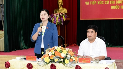 Đoàn đại biểu Quốc hội tỉnh lấy ý kiến góp ý dự án Luật Điện lực (sửa đổi) và tiếp xúc cử tri chuyên đề trước kỳ họp thứ 8, Quốc hội khóa XV