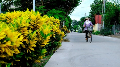 Những con đường kiểu mẫu ở nông thôn Hải Dương