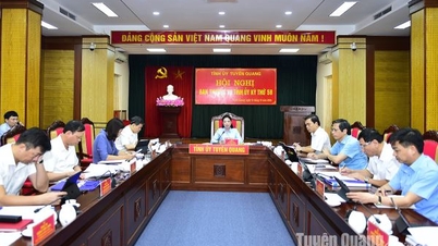 Press release of the 58th session of the Provincial Party Standing Committee and the session of the Party Executive Committee of Tuyen Quang province