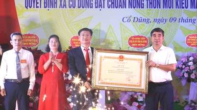 Sở có Uỷ viên Ban Thường vụ, Tỉnh uỷ viên chủ trì đề án sáp nhập
