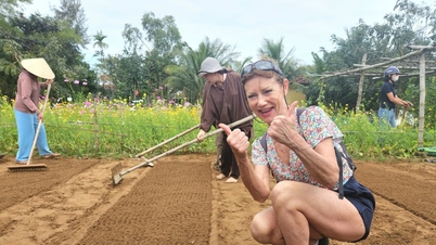 Unmissable experiences in Tra Que