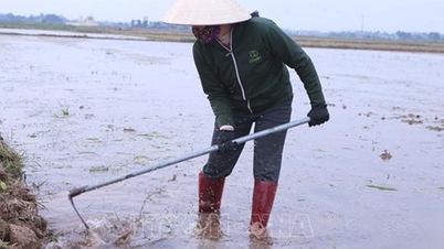 Over 77% of the area has water for winter-spring crop cultivation.