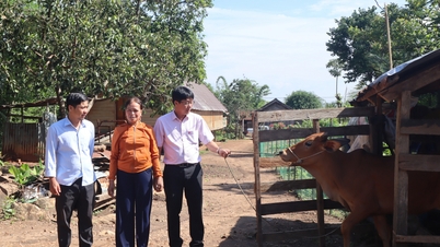 “Cầu nối” đưa vốn tín dụng đến với người nghèo