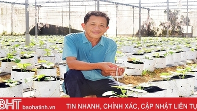 Phát huy vai trò chủ thể của nông dân trong phát triển nông nghiệp, kinh tế nông thôn, xây dựng nông thôn mới
