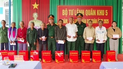 Military Region 5 celebrates Tet in Ninh Thuan