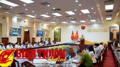 Removing difficulties and obstacles in implementing the Land Law, Housing Law, and Real Estate Business Law