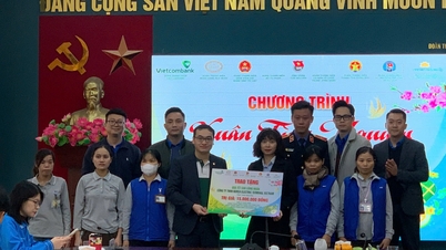 Government Inspectorate Youth Union and the "Spring Volunteer 2025" Program in Thai Nguyen