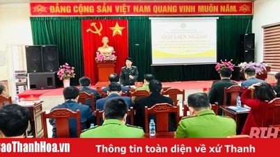 Agree on enforcement plan for Tay Do Company Limited