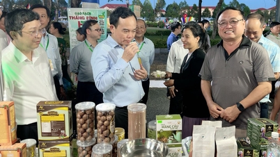 Tỉnh Đắk Lắk tham gia gian hàng tại Festival quốc tế ngành hàng lúa gạo Việt Nam - Hậu Giang 2023