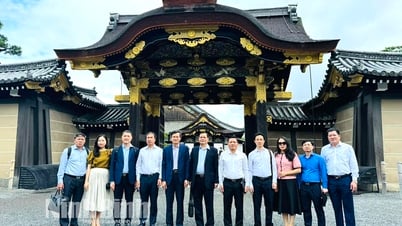Đoàn công tác tỉnh Ninh Bình thăm làm việc tại Nhật Bản