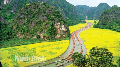 Du lịch mùa thấp điểm Tìm thời cơ trong thách thức